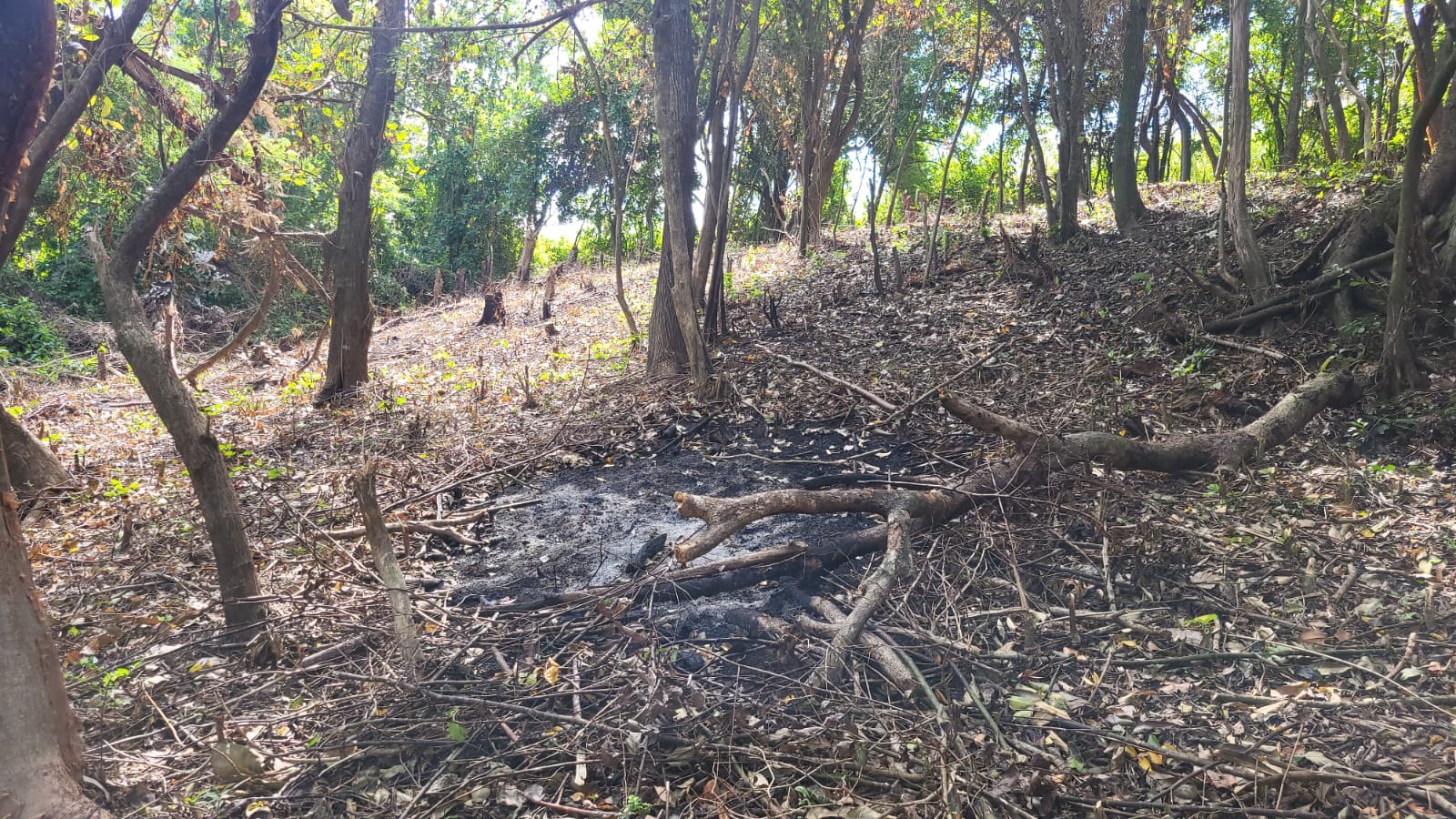 Property For Sale: Lot 1 Land For Sale Fairhall RefVHFHR408